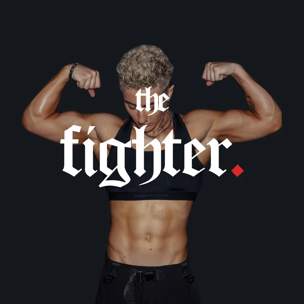 the fighter cover.