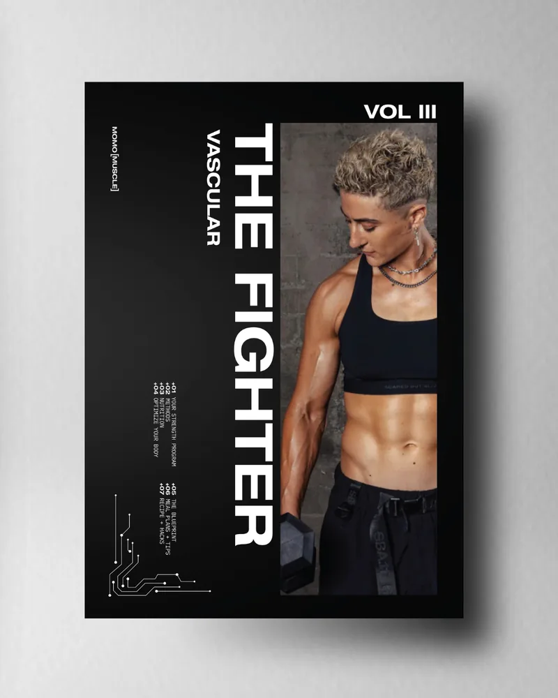 the fighter cover.